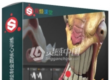 Substance Painter模型贴图绘制全面核心训练中文字幕视频教程