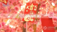 AE模板-2023兔年新年语录片头AE模板下载