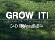 C4D草地生成插件 Grow It! For Cinema 4D Darstellungsart