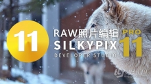 RAW照片编辑软件 SILKYPIX Developer Studio Pro 11.0.11.0 中文汉化版 Win/Mac下载