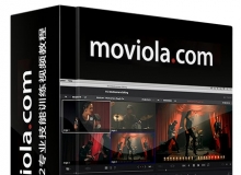 达芬奇Resolve 12专业技能训练视频教程 Moviola Resolve 12 Training