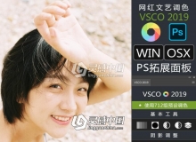 PS调色滤镜面板 网红文艺VSCO 2019全滤镜 712组调色预设 支持PS CC 2019