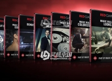 红巨人降噪磨皮调色套装 Red Giant Magic Bullet Suite v13.0.4 Mac 免费下载