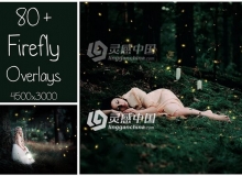 80张高清唯美萤火虫荧光蝴蝶叠加合成素材 80+ Firefly Overlays