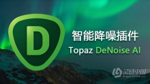 Topaz DeNoise AI 3.1.1汉化版|AI智能降噪插件Topaz DeNoise AI 3.1.1 中文版