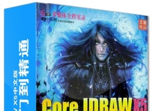 CorelDRAW X5中文版从入门到精通中文视频教程加配套素材