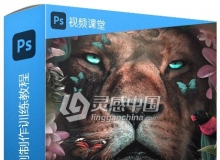 PS现代艺术照片实例制作训练视频教程