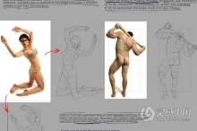 PS人体结构分解线条视频教程 Gumroad - WLOP - #9 Anatomy