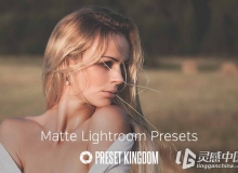 精致磨砂效果Lightroom预设 Matte Lightroom Presets