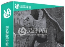 PS动物数字绘画训练视频教程 Fundamentals of Digital Drawing