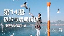 摄影教程 小巍学长摄影与后期精修网络VIP班14期中文教程