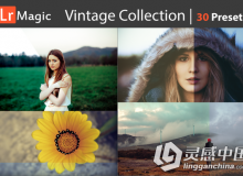 30组复古Lightroom预设收藏Vintage Collection