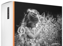 PS胶片模拟滤镜DxO FilmPack Expert 5.1.2.453汉化版（支持CC2019）