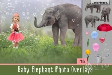 20张童趣小象花伞气球水泡元素照片合成PNG素材 Baby Elephant Photo Overlays