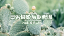 摄影教程 小武拉莫日系摄影后期第二期中文视频教程 附LR预设