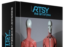 ZBrush人体骨骼结构肌肉细节姿势姿态深入剖析视频教程 Artistic Anatomy in ZBrush