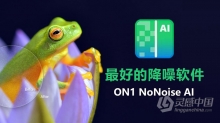 ON1 NoNoise AI 2022 WIN中文版 最好的降噪软件 ON1 NoNoise AI 2022 v16.0.1.11291 WIN中文版下载 支持