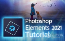 轻松掌握Photoshop Elements 2021培训教程-中文字幕 Photoshop Elements 2021 Made Easy Training