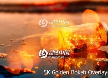 5K金色散景光斑镜头光晕叠加合成前景素材 Golden Bokeh Overlays