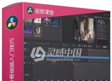 DaVinci Resolve 16达芬奇视频入门技巧训练视频教程