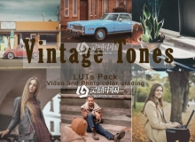 6组电影复古色调LUT调色预设 Vintage Tones LUTs Pack