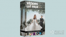 15个实用婚礼视频场景LUT调色预设包 Wedding LUT Pack - Final Cut Pro / Adobe Premiere Pro