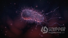 移动细菌3D动画微生物医学病毒研究教育解释视频素材 videohive Bacteria