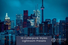 赛博朋克风格照片处理Lightroom预设 Cyberpunk Styles Lightroom Presets