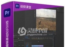 Premiere Pro 2020视频编辑基础知识训练视频教程