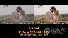 索尼相机SLOG3婚礼视频调色LUTs预设25组