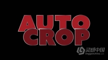 合成区域自动裁剪AE插件 Auto Crop v3.1.3 Win/Mac + 使用教程
