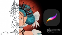 Procreate数字插画实践训练视频教程