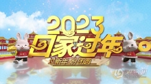 AE模板-2023大气三维E3D兔年回家过年迎新新年祝福年会晚会开场片头AE模板下载