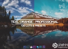 teal and orange professional all in one (rmn) 130 luts & presets