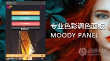 PS专业色彩调色面板拓展插件中文版 Moody Photoshop Panel 1.1.2 汉化版 支持PS 2021