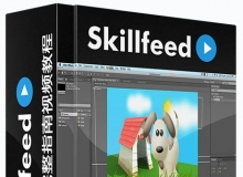 AE图形动画完整指南视频教程Skillfeed Motion Graphics in Adobe After Effects Co...