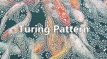 中文汉化AE插件-创意抽象图灵纹理效果生成工具 Turing Pattern v1.0 Win版本免费下载