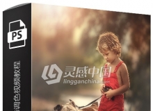 俄罗斯大神系列唯美家庭儿童摄影后期光影修饰调色视频教程
