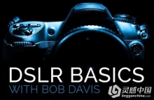 掌握你的数码单反相机视频培训课程 Introduction to DSLR Basics
