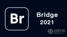 M1版：Br 2021破解版版 Bridge 2021 11.1.0.175 ACR13.3中文/英文版一键安装完整版 MAC M1版本下载