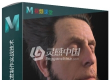 Yeti For Maya影视特效毛发制作实战技术中文视频教程