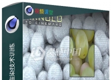 C4D中Arnold超级渲染技术训练视频教程