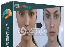 Daz Studio超逼真人物角色实例制作视频教程