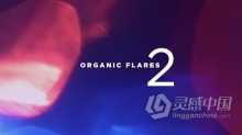 4K视频素材50个有机金色耀斑镜头光效合成动画 Organic Transition Golden Flares