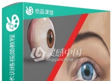 眼睛实例数字绘画艺术训练视频教程