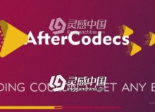 特殊编码加速输出渲染中文插件AfterCodecs v1.9.6 Win中文汉化破解版 支持AE/PR/AME