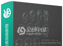 头部比例与角度绘画训练视频教程