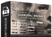 24组真实皮肤色彩数字绘画PS笔刷合集 Realistic Charcoal Photoshop Brushes