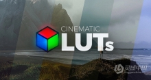 LUT预设-120种大气动作电影流行复古黑白LUT视频调色预设 Cinematic LUTs