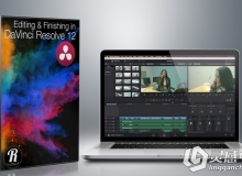 达芬奇DaVinci Resolve 12强大编辑功能视频教程